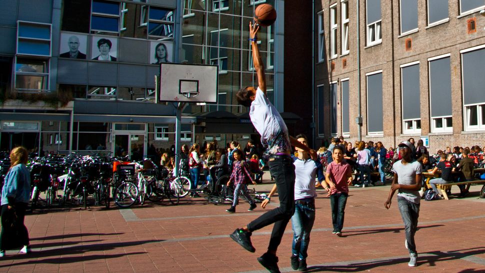 Montessori Lyceum Amsterdam (MLA), Schoolwijzer Amsterdam