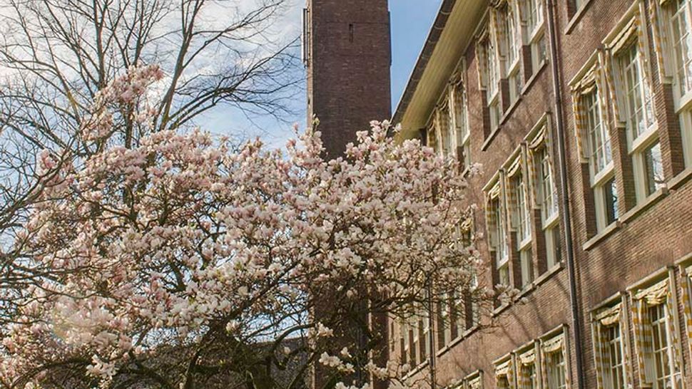Vossius Gymnasium, Schoolwijzer Amsterdam